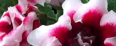 遇蛇中经典句子62句