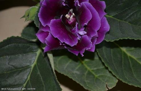 十月你好的唯美句子大全(精选113句)