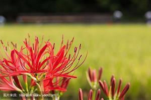 描写一家人温暖的句子汇编41句