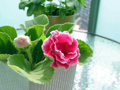 形容幸福家庭的句子