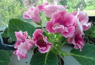 表达大学友情的句子14句