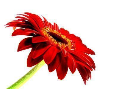 夏天的优美句子摘抄短句推荐77句