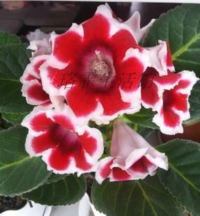 关于大学的励志句子合集51句