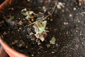 再见六月七月你好语录 七月你好说说句子合集80句