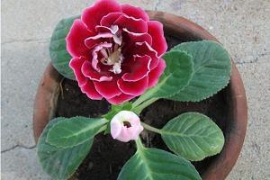 十一月的文案短句精彩语录(精选116句)