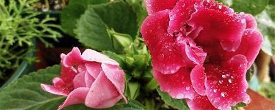 2021十月再见十一月你好感性正能量文案句子(精选72句)