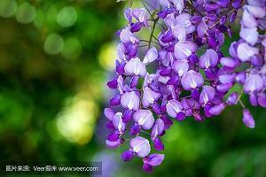 元宵节看灯会的心情说说 元宵节看灯会的朋友圈怎么发