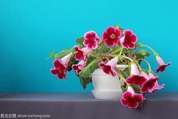 结婚后对老公失望的句子