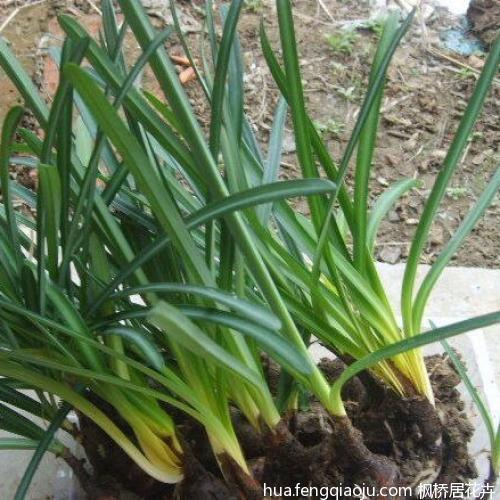 放慢脚步享受生活的句子(精选29句)