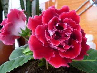 2021早安正能量句子合集114句