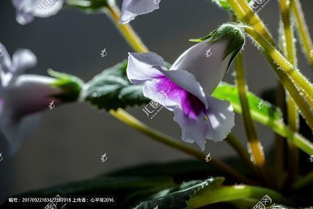 形容小满时节的优美句子汇编74句