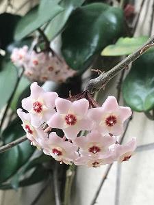 2021中元节搞笑朋友圈走心文案(精选45句)