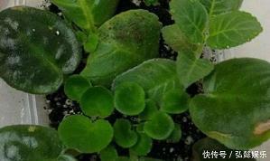 好兄弟友情的句子14句