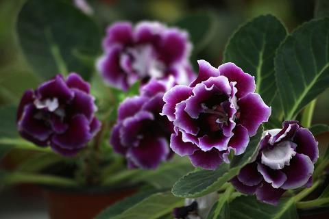 风景美到极致的朋友圈句子(精选26句)