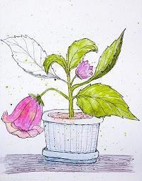 2021年的唯美短句子83句