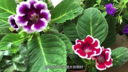 伤感唯美励志青春句子(65句)