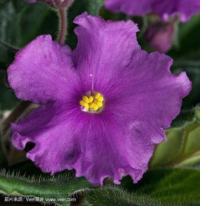 女生努力向上的句子 女生努力向上的文案大全