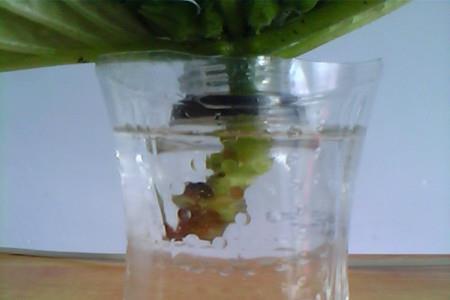 写给自己很累的一句话摘抄21句