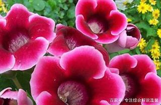 形容生气的句子 生气又伤感的句子(精选32句)