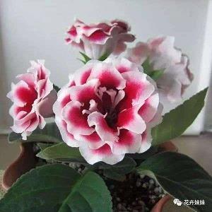 让对方看到暖心的句子 干净文艺短句精选78句