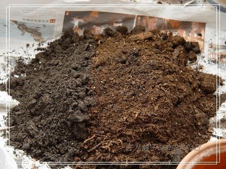 失望了心碎霸气的爱情句子
