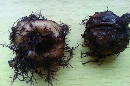 致自己的句子 总有些东西，管你躲不躲避，它都要来临，你只能