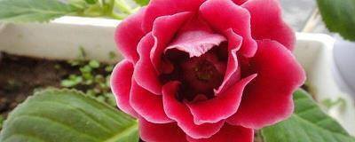 表达一个人夜里失眠难以入睡的句子(精选81句)