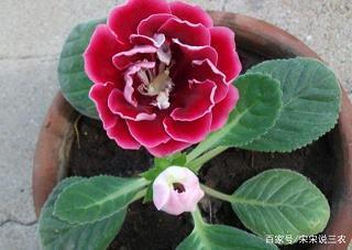 2021四月第一天朋友圈文案句子76句