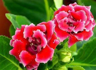 简单快乐的心态句子正能量励志语录汇总70句