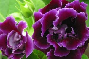 关于表白的英语句子