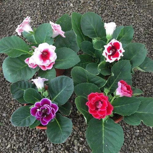 精辟人生感悟句子 感悟人生的经典句子