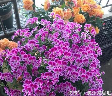 表示心情惆怅的句子82句