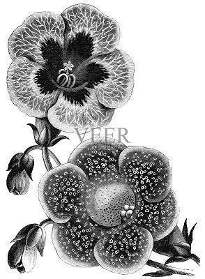 写景抒情的优美句子29句