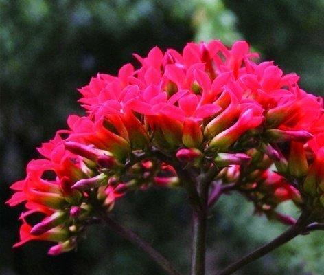 对生活很迷茫很失望的句子