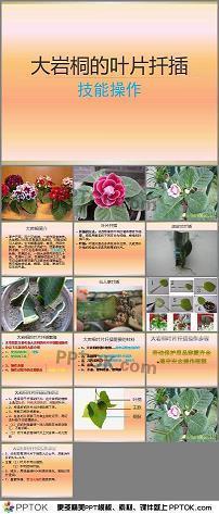 重逢后形容开心的句子