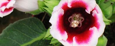 简短美句发朋友圈 朋友圈说说心情短语汇总81句