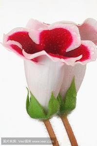 那些文艺唯美充满诗意的句子