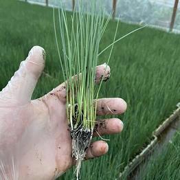 空间留言句子伤感