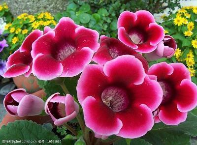 自信的句子58句