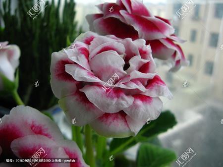 表达心情不好的句子 表达心情的说说收集28句