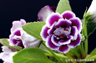 圣诞节文案走心句子大全(精选101句)