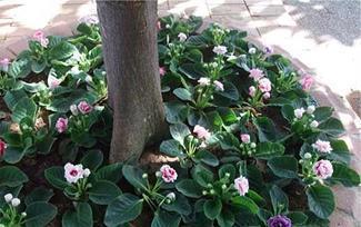 异地恋心情失落的句子29句