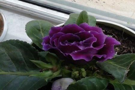 2021形容友情的经典语录(精选74句)