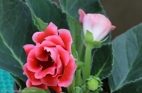 陆九渊的哲理句子