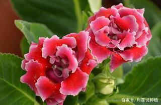 红酒文案短句经典用语大全(精选45句)