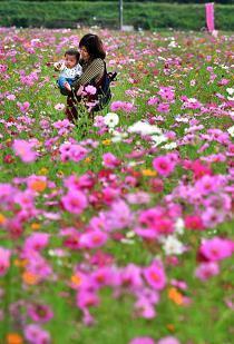 学生庆祝元旦的句子(精选56句)