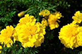 让人感到正能量的句子汇总39句