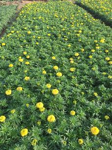 自己很颓废的朋友圈(精选44句)