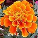 2021再见2022你好句子文案最新(精选78句)