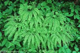 十一月你好心情文案_十一月你好朋友圈说说句子(精选69句)